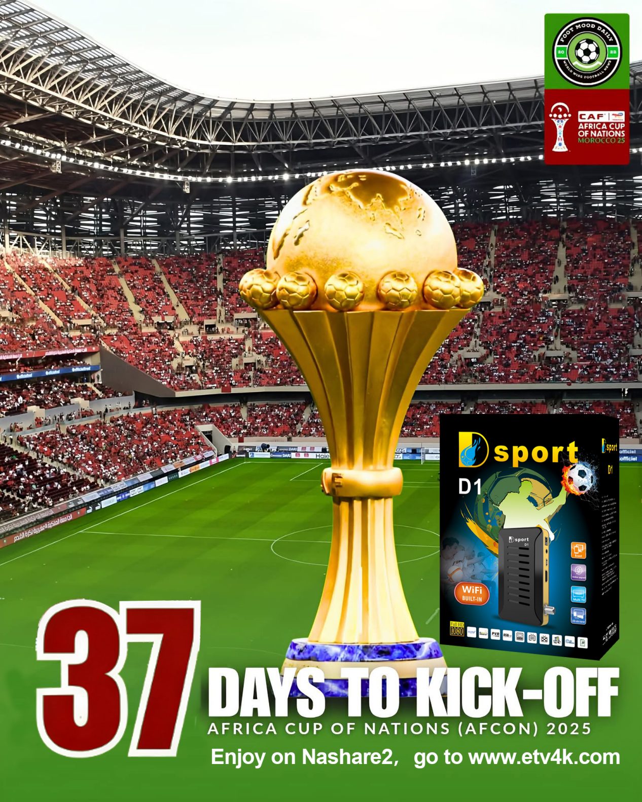 Africa Cup of Nations Games